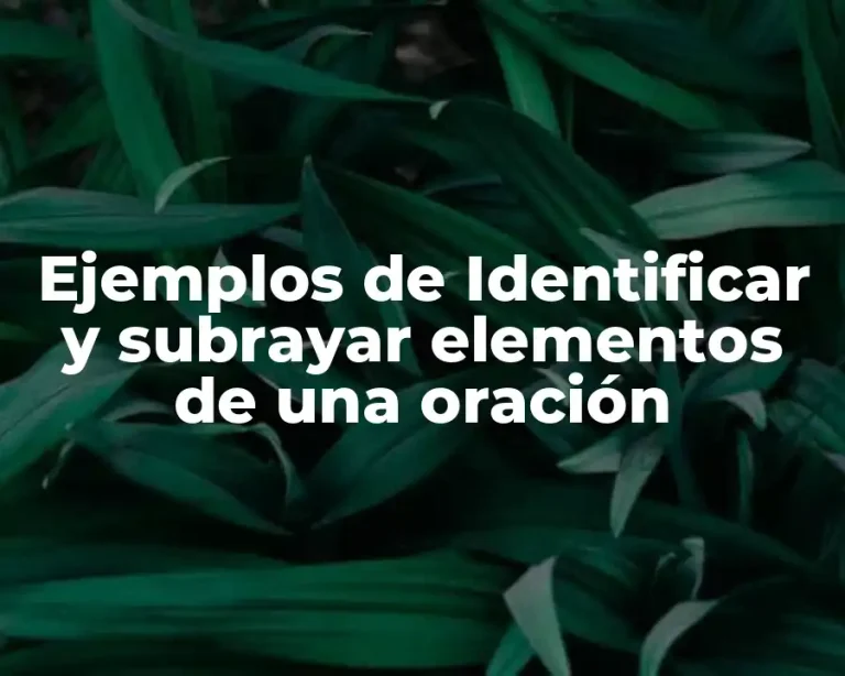 Ejemplos de Identificar y subrayar elementos de una oración