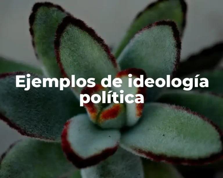 Ejemplos de ideología política