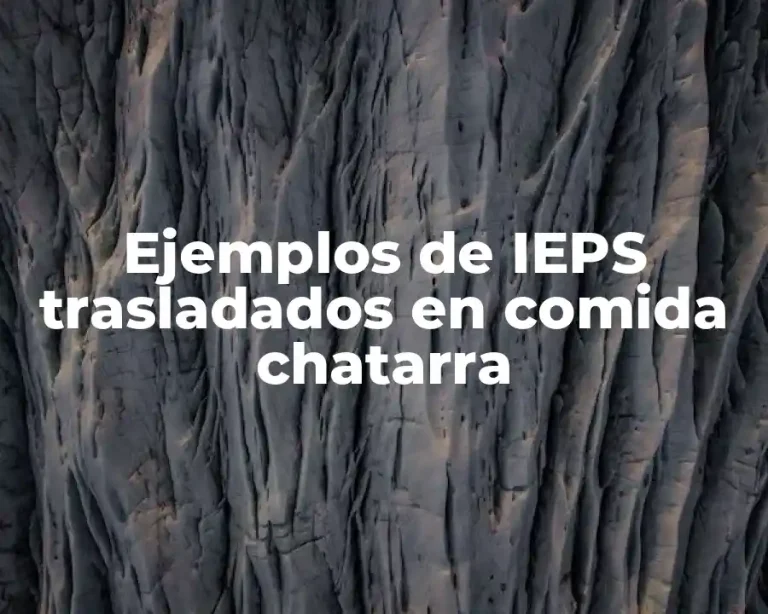 Ejemplos de IEPS trasladados en comida chatarra