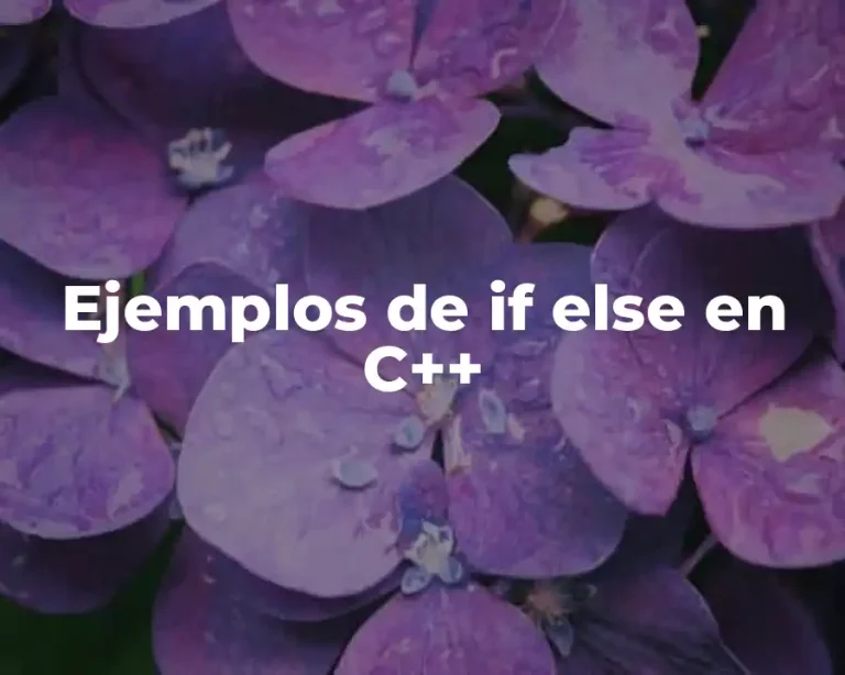 Ejemplos de if else en C++