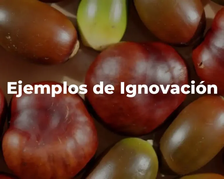 Ejemplos de Ignovación