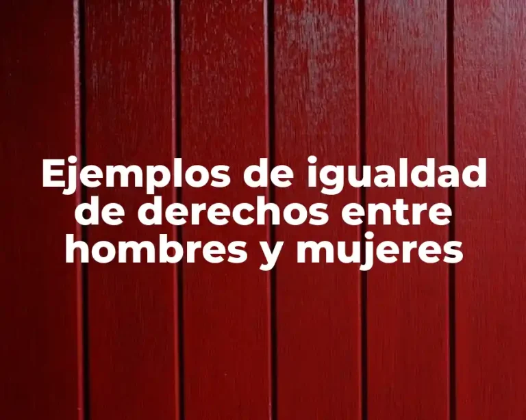 Ejemplos de igualdad de derechos entre hombres y mujeres