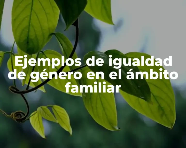 Ejemplos de igualdad de género en el ámbito familiar