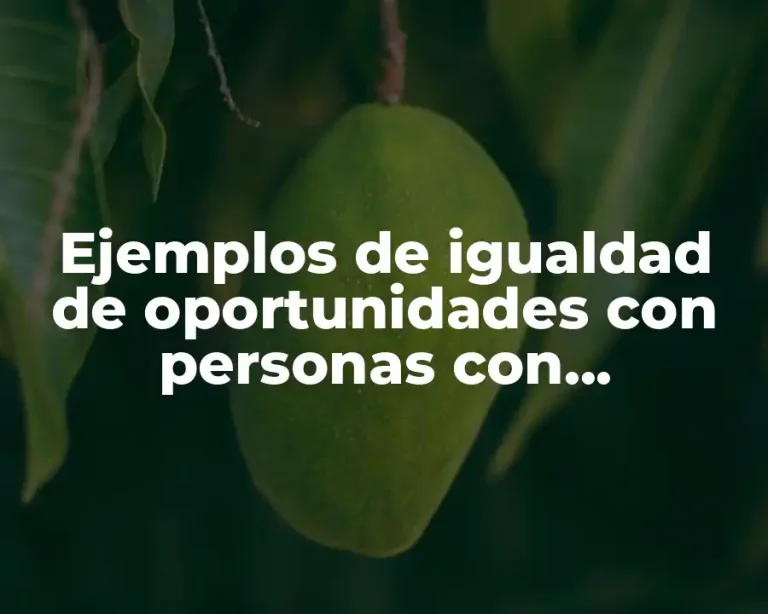 Ejemplos de igualdad de oportunidades con personas con discapacidad y Significado