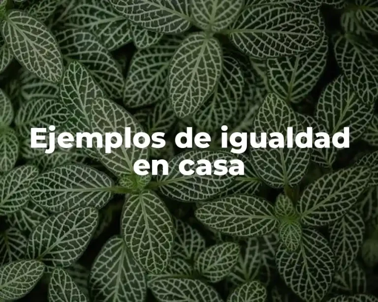Ejemplos de igualdad en casa