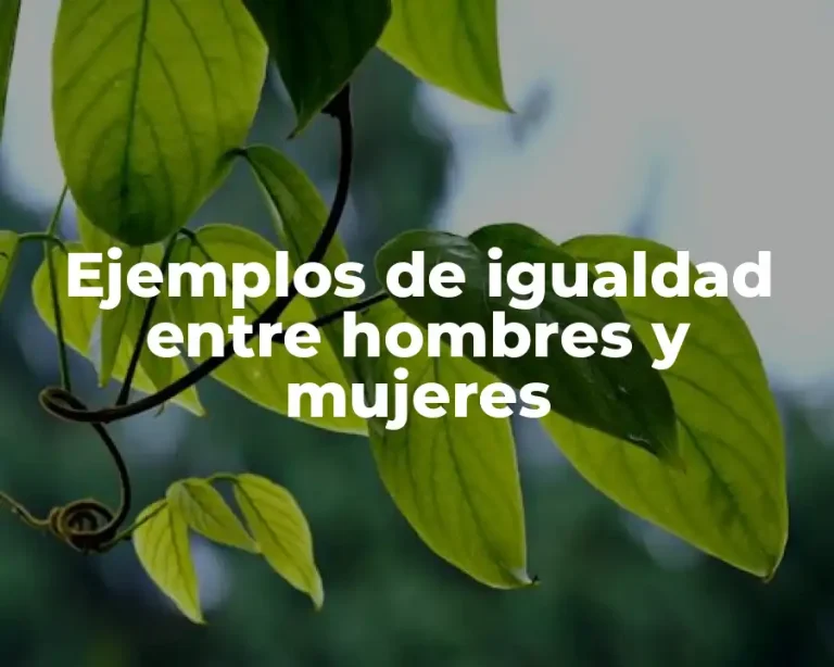 Ejemplos de igualdad entre hombres y mujeres