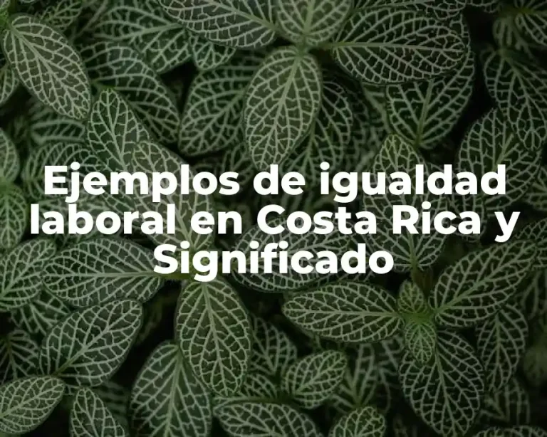 Ejemplos de igualdad laboral en Costa Rica y Significado