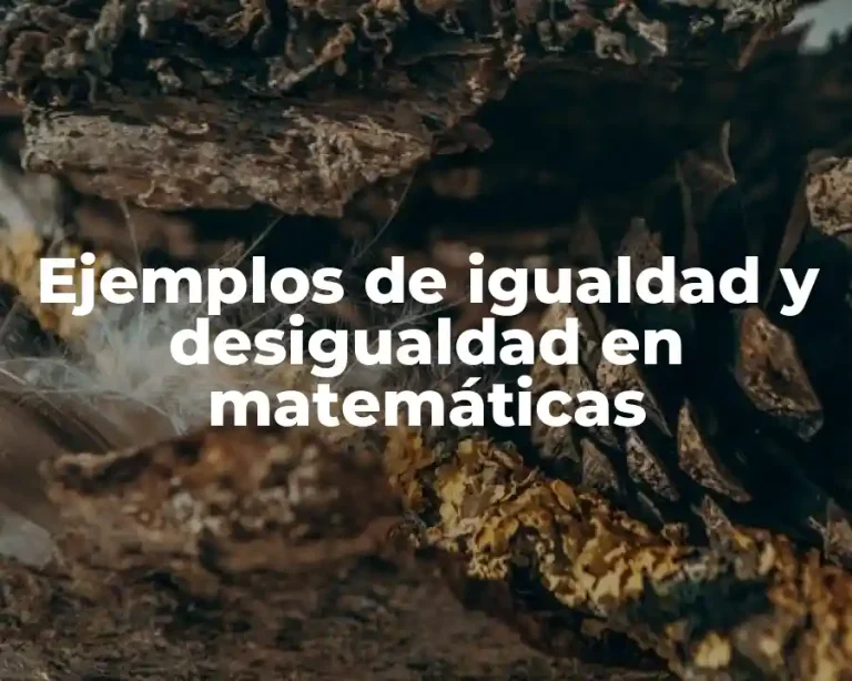 Ejemplos de igualdad y desigualdad en matemáticas