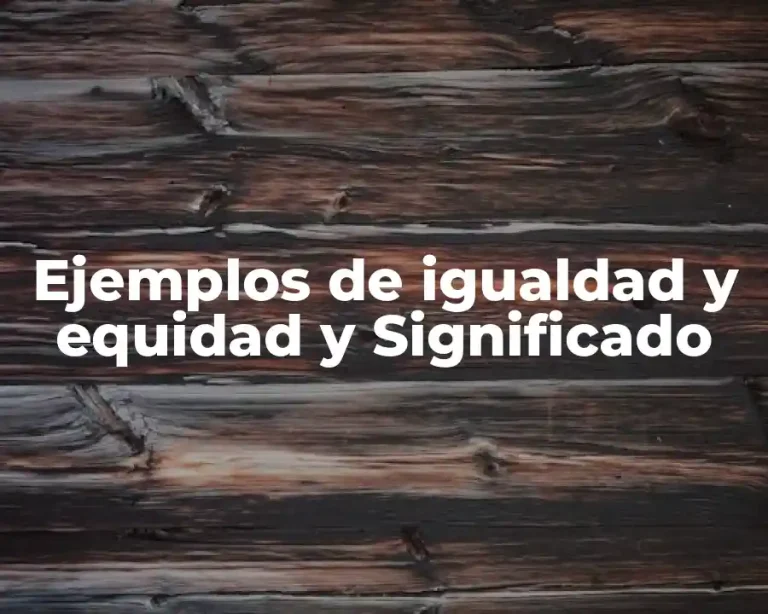 Ejemplos de igualdad y equidad y Significado