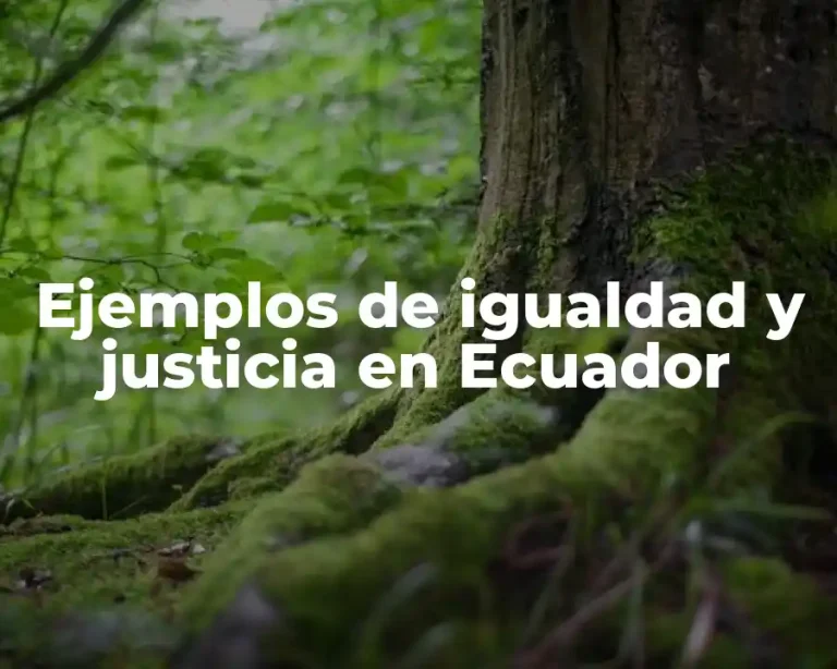 Ejemplos de igualdad y justicia en Ecuador