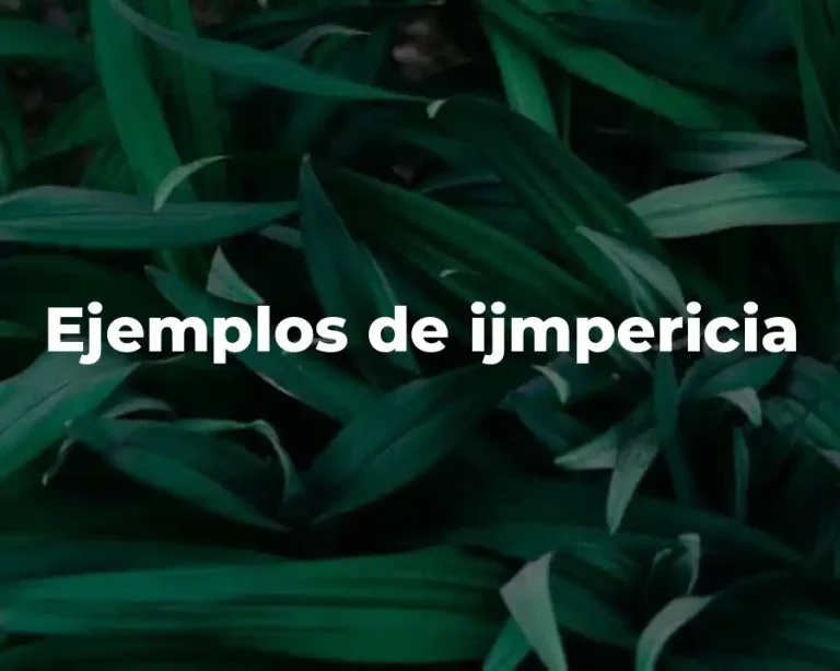 Ejemplos de ijmpericia