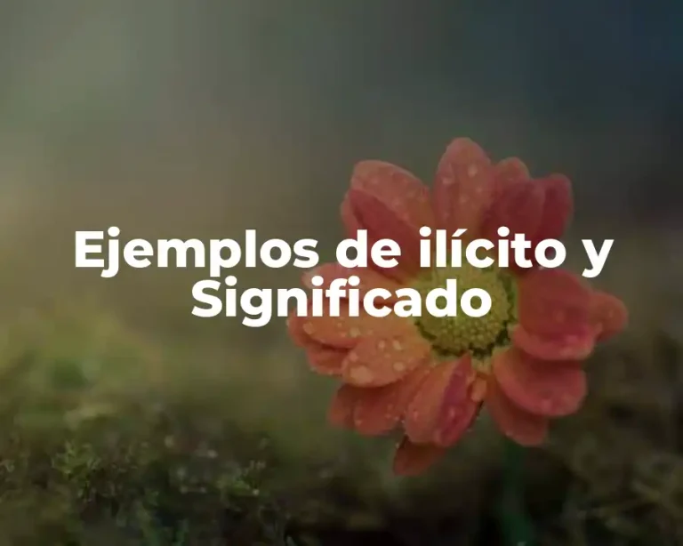Ejemplos de ilícito y Significado