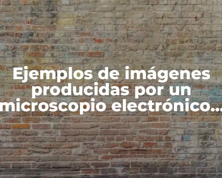 Ejemplos de imágenes producidas por un microscopio electrónico de