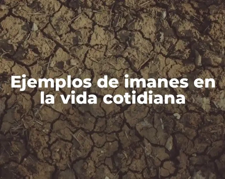 Ejemplos de imanes en la vida cotidiana