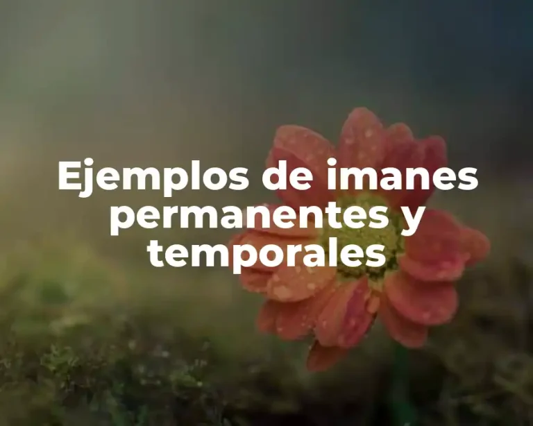 Ejemplos de imanes permanentes y temporales