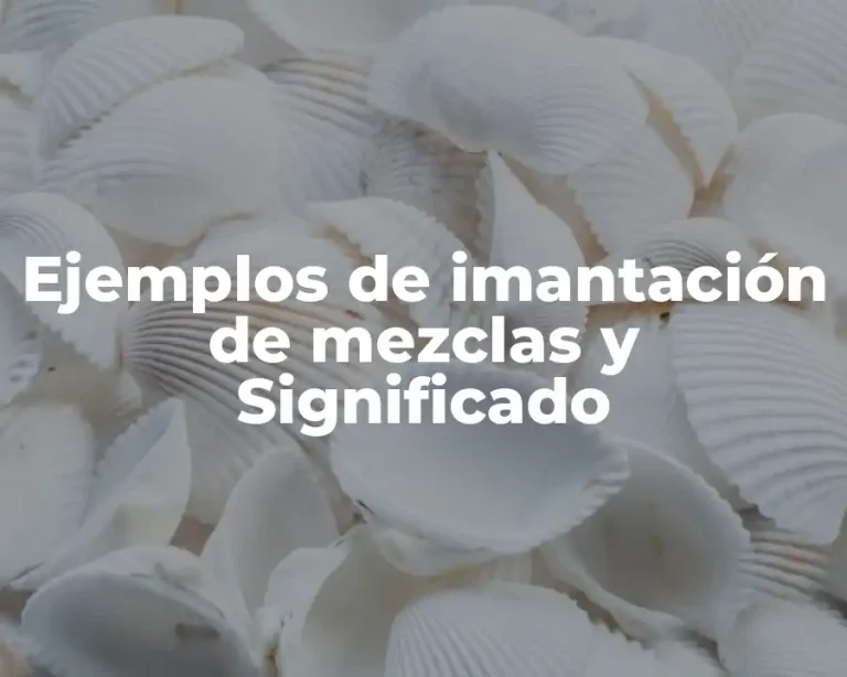 Ejemplos de imantación de mezclas y Significado