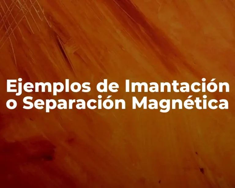 Ejemplos de Imantación o Separación Magnética