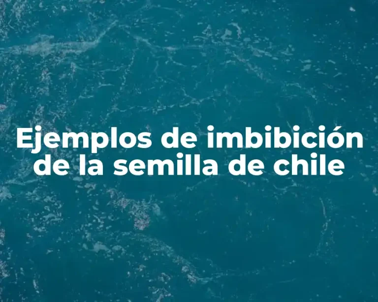 Ejemplos de imbibición de la semilla de chile