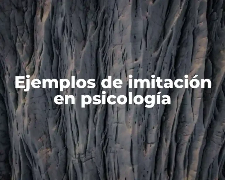 Ejemplos de imitación en psicología