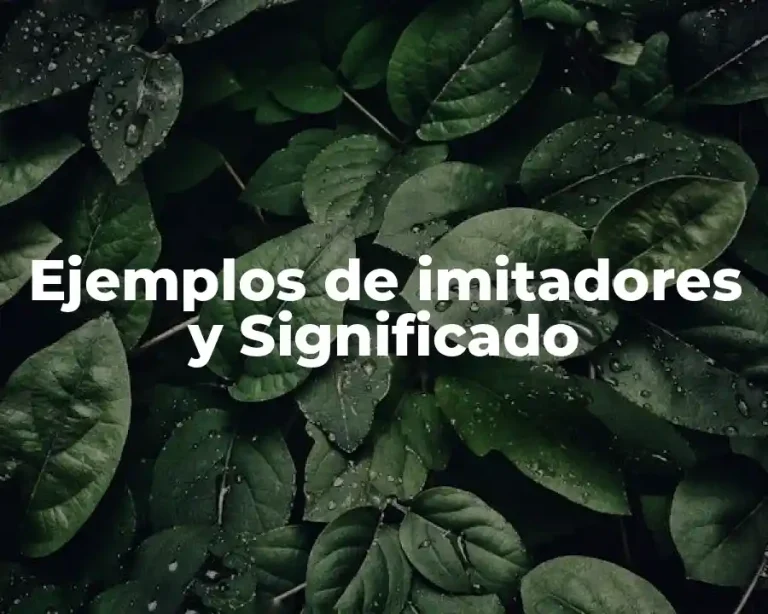 Ejemplos de imitadores y Significado