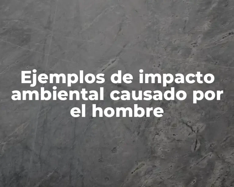 Ejemplos de impacto ambiental causado por el hombre