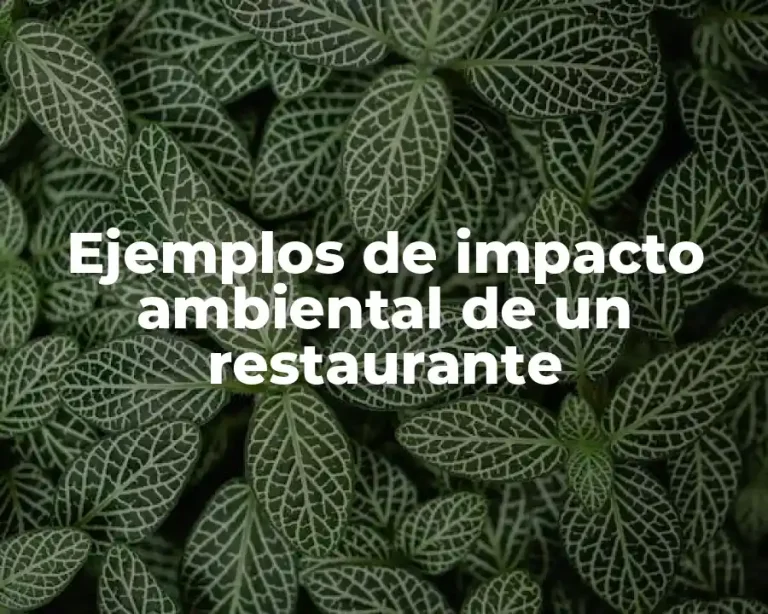Ejemplos de impacto ambiental de un restaurante