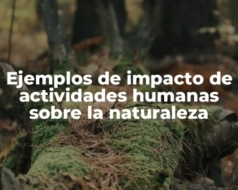Ejemplos de impacto de actividades humanas sobre la naturaleza