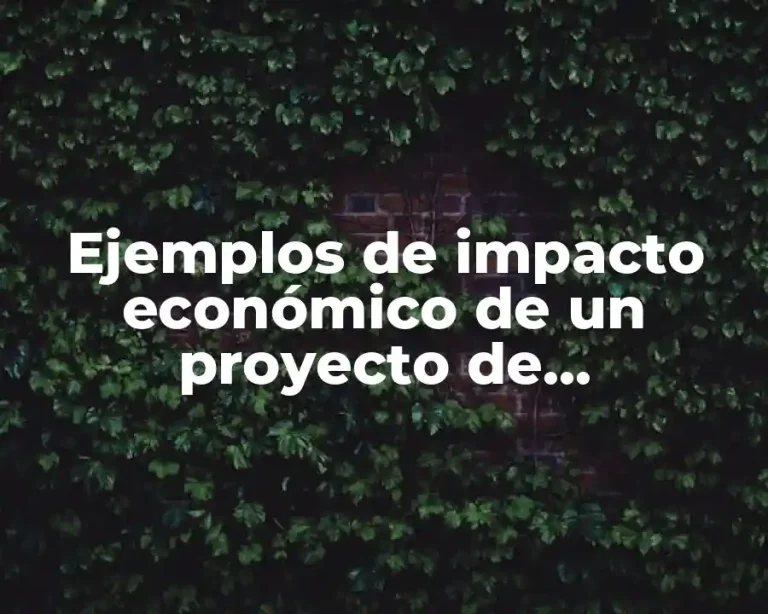 Ejemplos de impacto económico de un proyecto de investigación y Significado