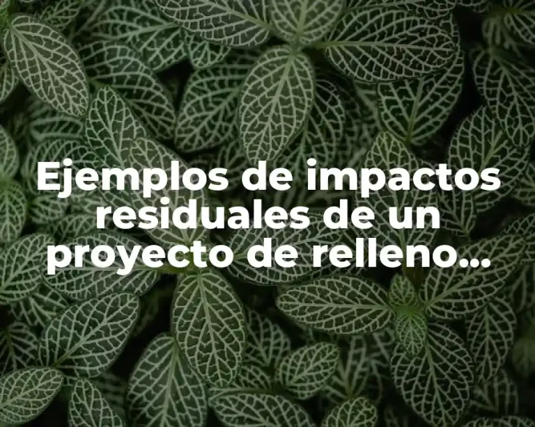Ejemplos de impactos residuales de un proyecto de relleno sanitario