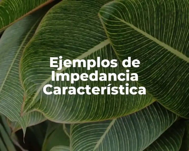Ejemplos de Impedancia Característica