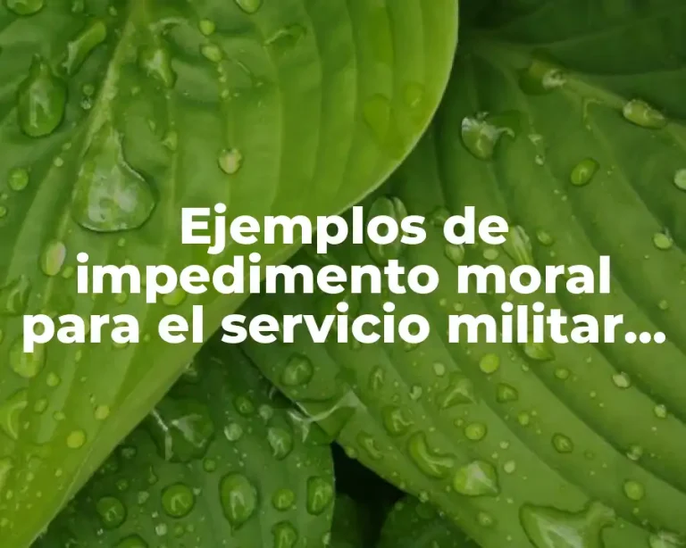 Ejemplos de impedimento moral para el servicio militar mexicano