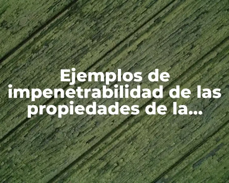 Ejemplos de impenetrabilidad de las propiedades de la materia