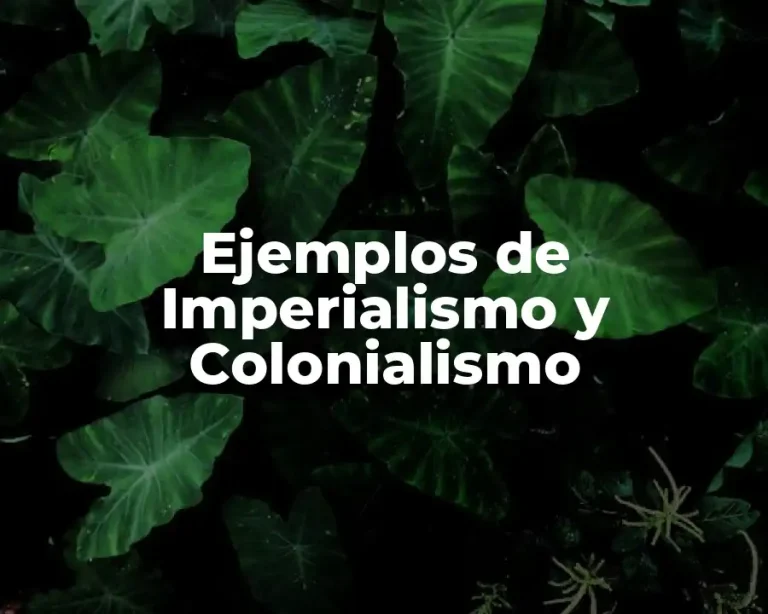 Ejemplos de Imperialismo y Colonialismo