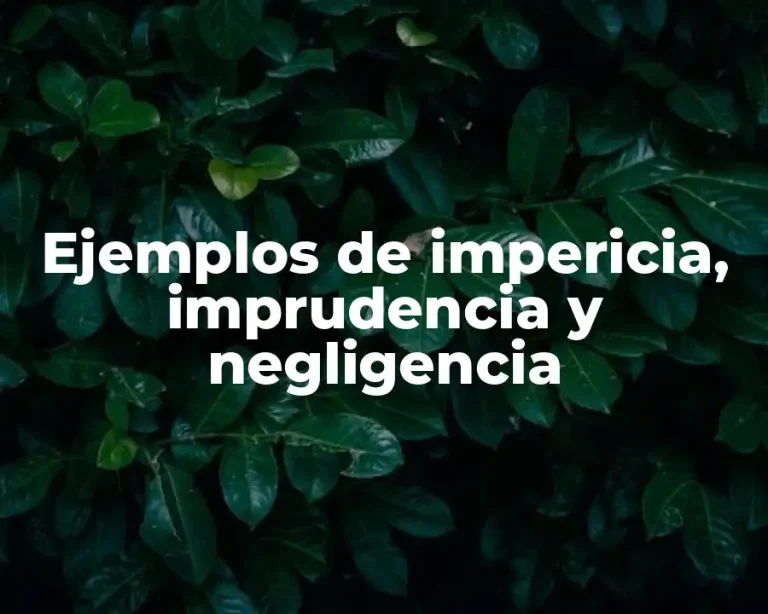 Ejemplos de impericia, imprudencia y negligencia