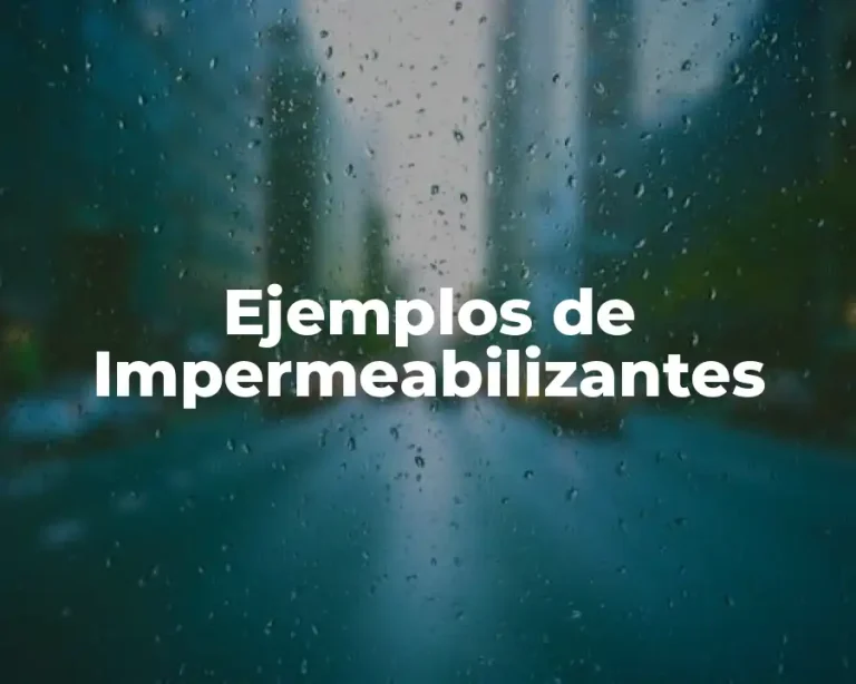 Ejemplos de Impermeabilizantes