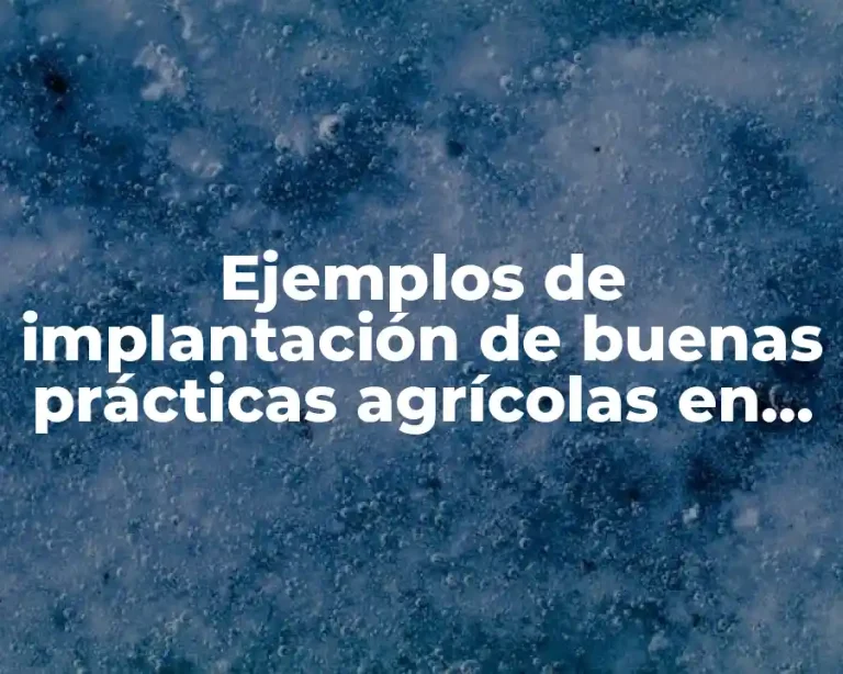 Ejemplos de implantación de buenas prácticas agrícolas en sandia