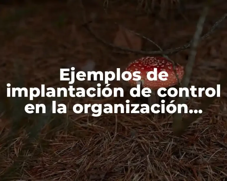 Ejemplos de implantación de control en la organización empresarial y Significado