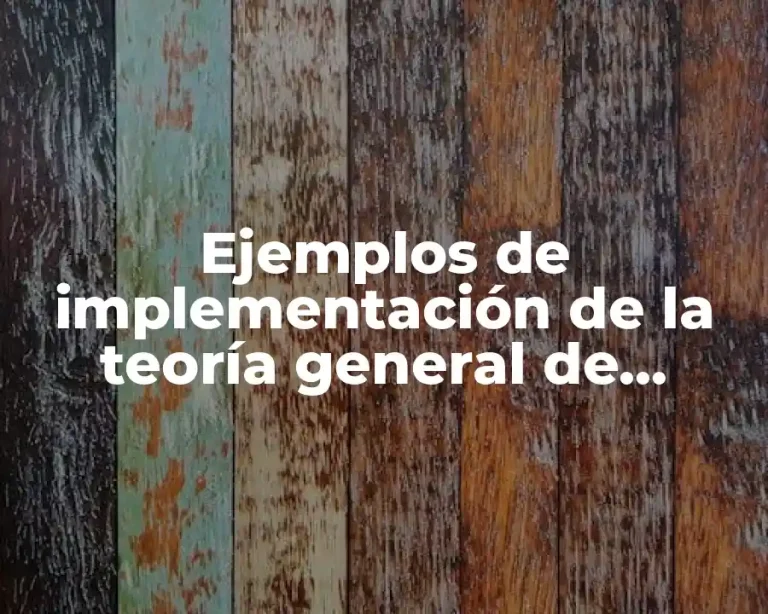 Ejemplos de implementación de la teoría general de sistemas