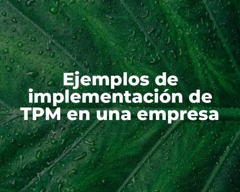 Ejemplos de implementación de TPM en una empresa