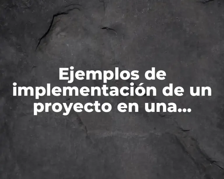 Ejemplos de implementación de un proyecto en una empresa y Significado