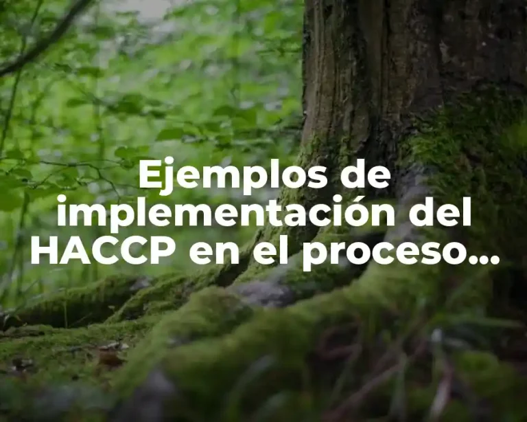 Ejemplos de implementación del HACCP en el proceso del café
