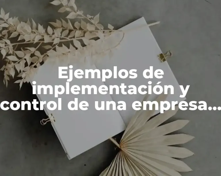 Ejemplos de implementación y control de una empresa de ropa