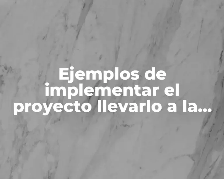 Ejemplos de implementar el proyecto llevarlo a la práctica