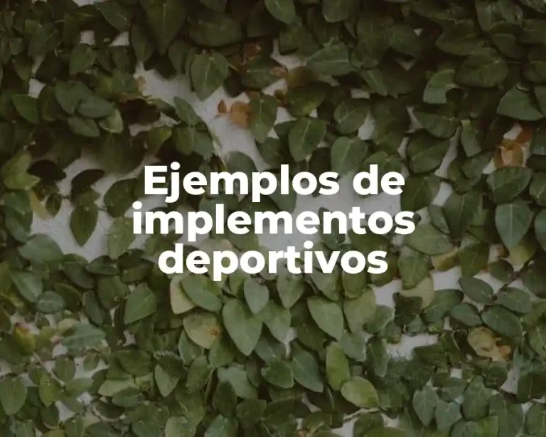 Ejemplos de implementos deportivos
