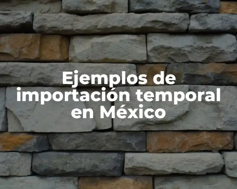 Ejemplos de importación temporal en México