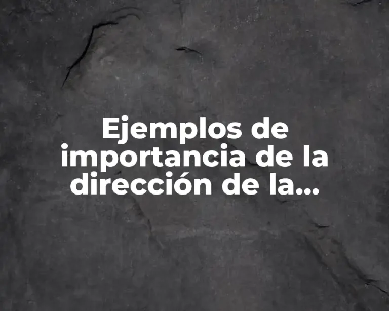 Ejemplos de importancia de la dirección de la administración
