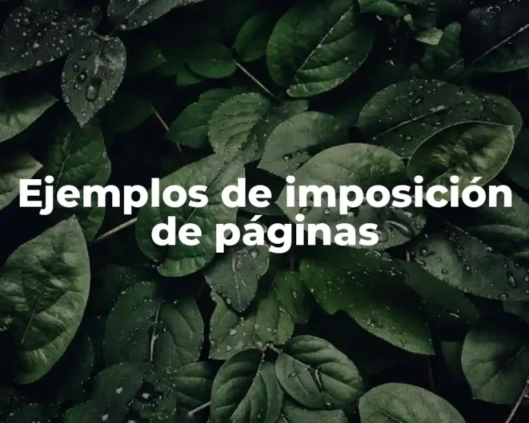 Ejemplos de imposición de páginas