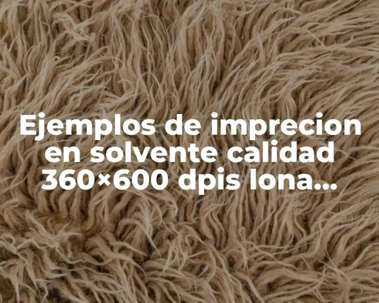 Ejemplos de imprecion en solvente calidad 360×600 dpis lona frontlit