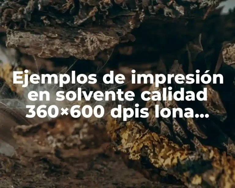 Ejemplos de impresión en solvente calidad 360×600 dpis lona frontlit