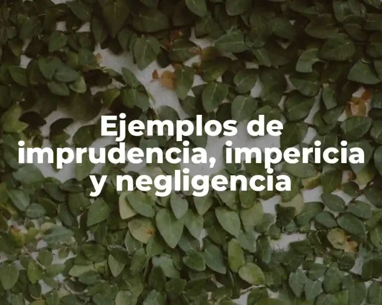 Ejemplos de imprudencia, impericia y negligencia